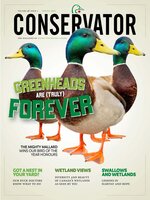 Conservator